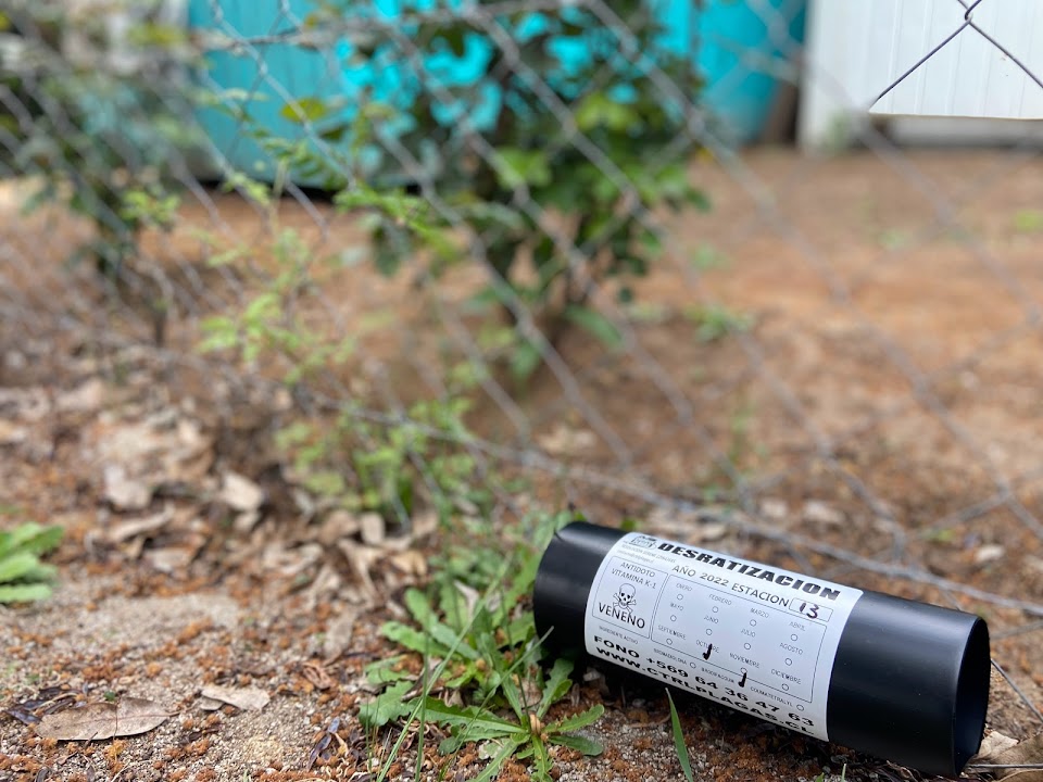 Identified tubular rodent monitoring and control station installed outdoors